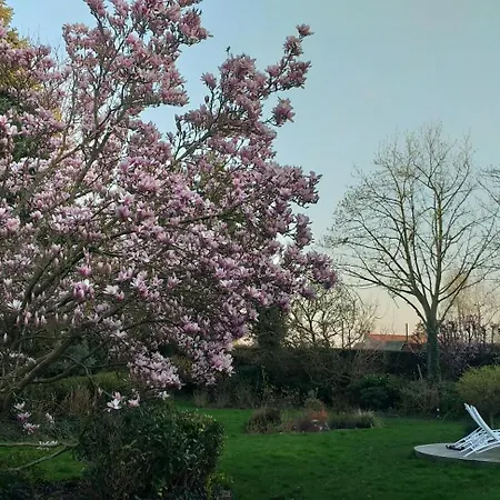 Affittacamere Le Mont Saint Roch , D'hotes, 3*